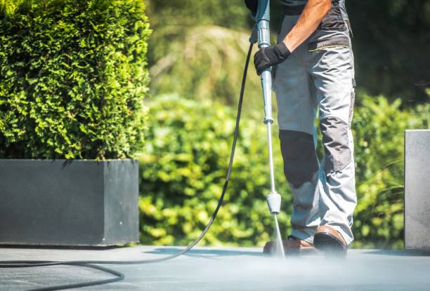Best Pool Deck Cleaning  in Genesee, ID